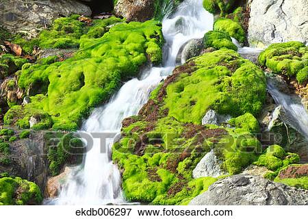 Gunma Prefecture, Japan View Large Photo Image Stock Photo - Gunma Prefecture, Japan. Fotosearch