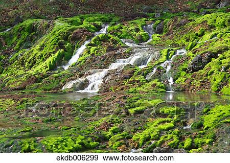 Gunma Prefecture, Japan View Large Photo Image Stock Photo - Gunma Prefecture, Japan. Fotosearch