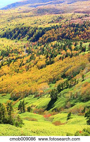 Gunma Prefecture, Japan View Large Photo Image Stock Photograph - Gunma Prefecture, Japan. Fotosearch