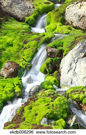 Gunma Prefecture, Japan View Large Photo Image Stock Photograph - Gunma Prefecture, Japan. Fotosearch