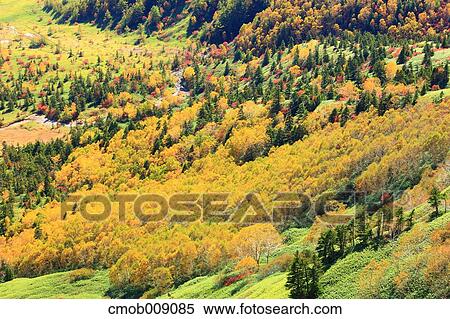 Gunma Prefecture, Japan View Large Photo Image Stock Photography - Gunma Prefecture, Japan. Fotosearch