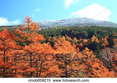 Gunma Prefecture, Japan View Large Photo Image Stock Photography - Gunma Prefecture, Japan. Fotosearch