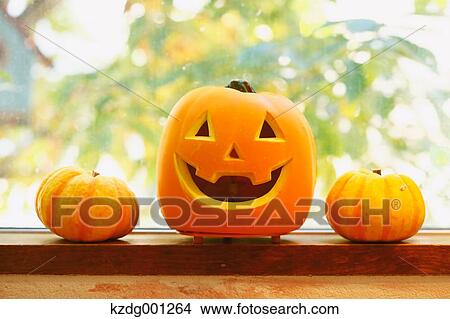 Picture - Halloween Pumpkins. Fotosearch