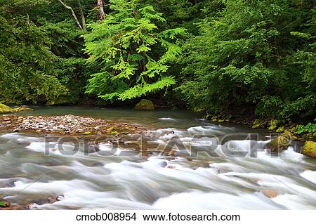 Hokkaido, Japan View Large Photo Image Picture - Hokkaido, Japan. Fotosearch