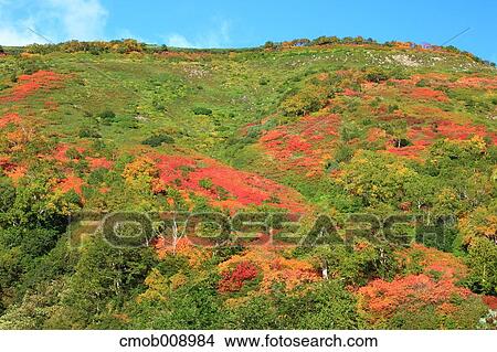 Hokkaido, Japan View Large Photo Image Picture - Hokkaido, Japan. Fotosearch