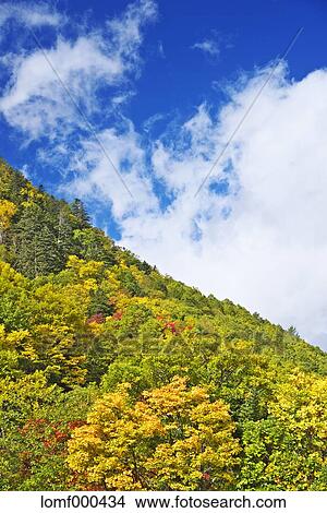 Hokkaido, Japan View Large Photo Image Picture - Hokkaido, Japan. Fotosearch