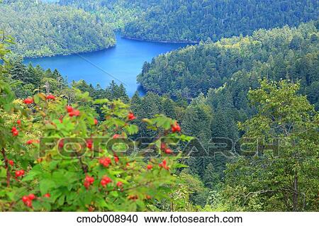 Hokkaido, Japan View Large Photo Image Stock Image - Hokkaido, Japan. Fotosearch