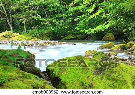 Hokkaido, Japan View Large Photo Image Stock Image - Hokkaido, Japan. Fotosearch
