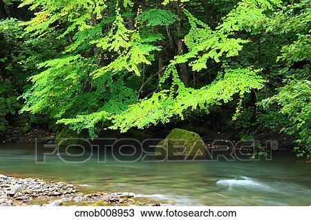 Hokkaido, Japan View Large Photo Image Stock Image - Hokkaido, Japan. Fotosearch