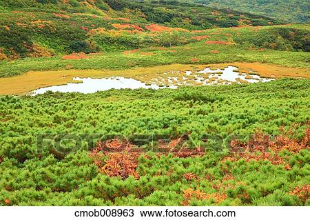 Hokkaido, Japan View Large Photo Image Stock Image - Hokkaido, Japan. Fotosearch