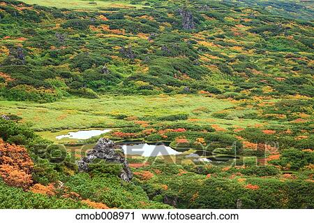 Stock Image - Hokkaido, Japan. Fotosearch