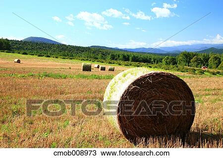 Hokkaido, Japan View Large Photo Image Stock Image - Hokkaido, Japan. Fotosearch