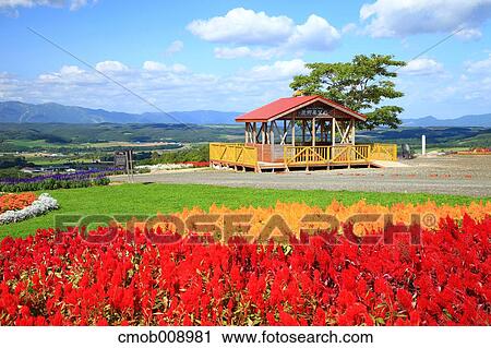 Hokkaido, Japan View Large Photo Image Stock Image - Hokkaido, Japan. Fotosearch