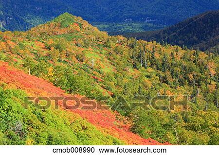 Hokkaido, Japan View Large Photo Image Stock Image - Hokkaido, Japan. Fotosearch