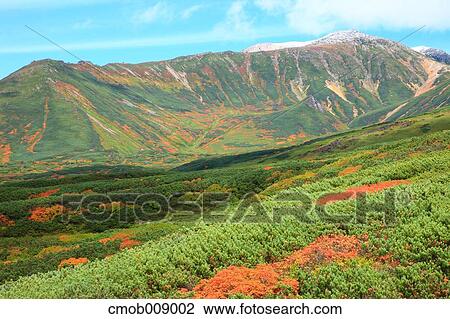Stock Image - Hokkaido, Japan. Fotosearch