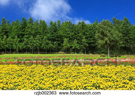 Hokkaido, Japan View Large Photo Image Stock Image - Hokkaido, Japan. Fotosearch