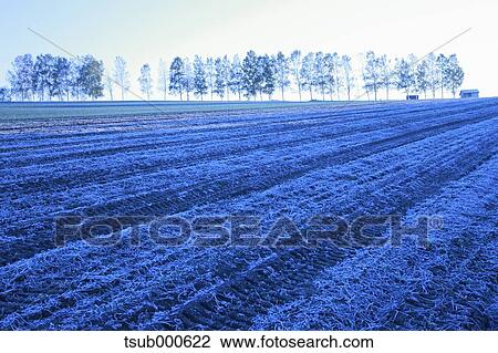 Hokkaido, Japan View Large Photo Image Stock Image - Hokkaido, Japan. Fotosearch