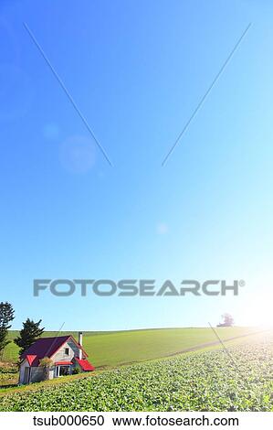 Stock Image - Hokkaido, Japan. Fotosearch