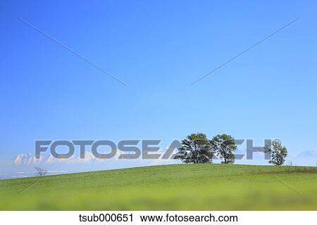 Hokkaido, Japan View Large Photo Image Stock Image - Hokkaido, Japan. Fotosearch