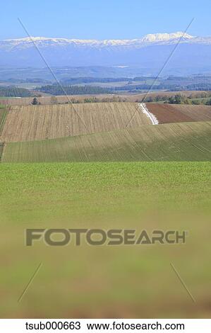 Hokkaido, Japan View Large Photo Image Stock Image - Hokkaido, Japan. Fotosearch
