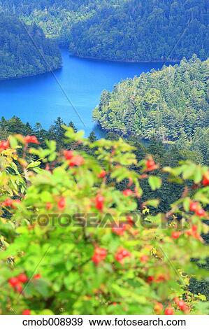 Hokkaido, Japan View Large Photo Image Stock Photo - Hokkaido, Japan. Fotosearch