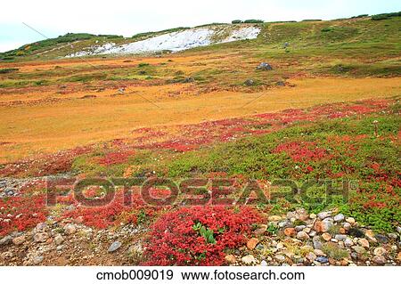 Hokkaido, Japan View Large Photo Image Stock Photo - Hokkaido, Japan. Fotosearch