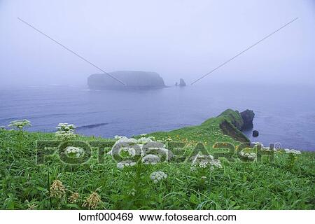 Hokkaido, Japan View Large Photo Image Stock Photo - Hokkaido, Japan. Fotosearch