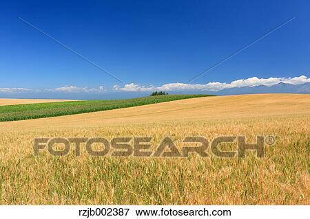Stock Photo - Hokkaido, Japan. Fotosearch