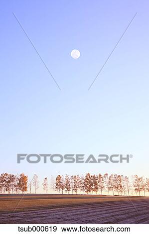 Hokkaido, Japan View Large Photo Image Stock Photo - Hokkaido, Japan. Fotosearch