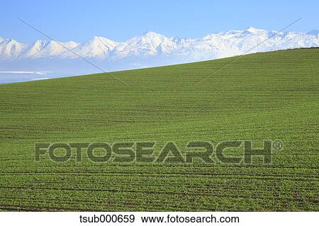 Stock Photo - Hokkaido, Japan. Fotosearch