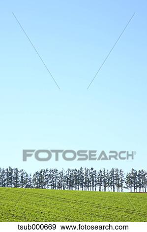 Hokkaido, Japan View Large Photo Image Stock Photo - Hokkaido, Japan. Fotosearch
