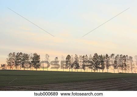 Stock Photo - Hokkaido, Japan. Fotosearch
