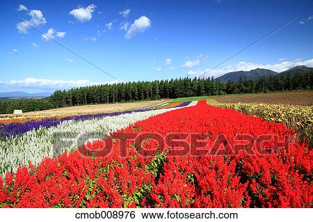 Hokkaido, Japan View Large Photo Image Stock Photograph - Hokkaido, Japan. Fotosearch