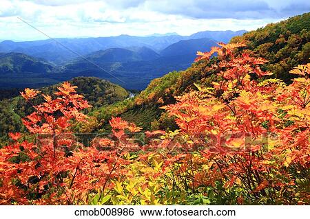Hokkaido, Japan View Large Photo Image Stock Photograph - Hokkaido, Japan. Fotosearch