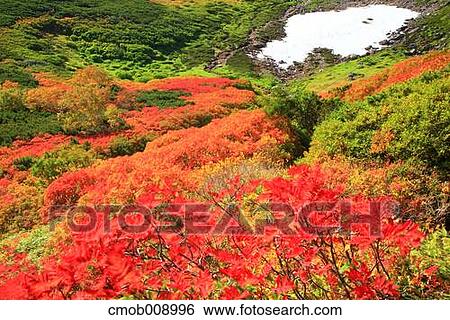 Hokkaido, Japan View Large Photo Image Stock Photograph - Hokkaido, Japan. Fotosearch