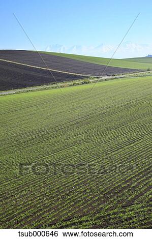 Hokkaido, Japan View Large Photo Image Stock Photograph - Hokkaido, Japan. Fotosearch