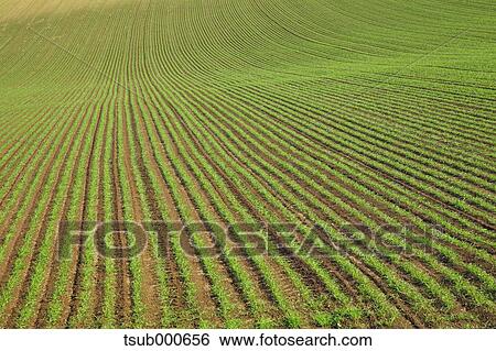 Hokkaido, Japan View Large Photo Image Stock Photograph - Hokkaido, Japan. Fotosearch