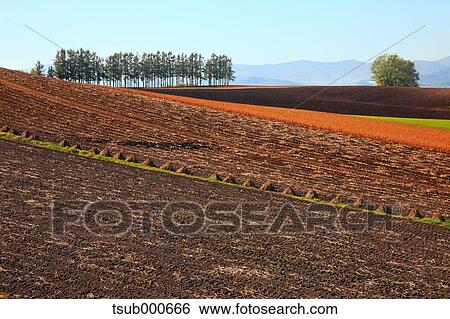 Hokkaido, Japan View Large Photo Image Stock Photograph - Hokkaido, Japan. Fotosearch