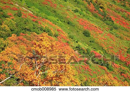 Stock Photography - Hokkaido, Japan. Fotosearch
