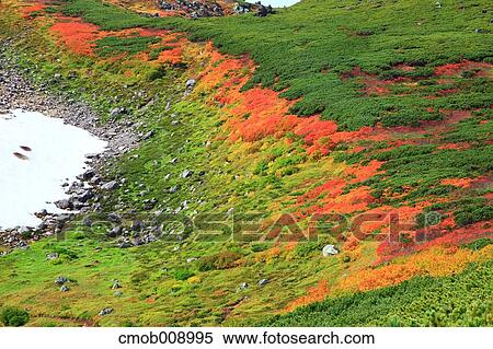 Hokkaido, Japan View Large Photo Image Stock Photography - Hokkaido, Japan. Fotosearch