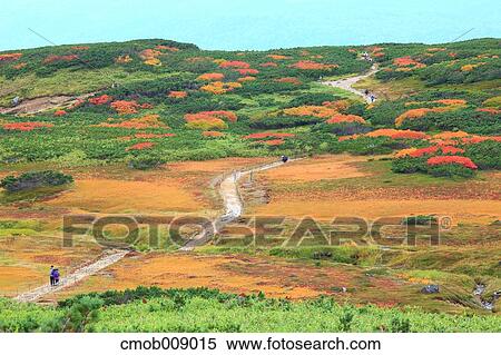 Hokkaido, Japan View Large Photo Image Stock Photography - Hokkaido, Japan. Fotosearch