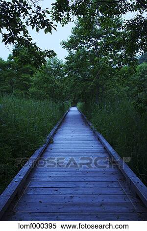 Hokkaido, Japan View Large Photo Image Stock Photography - Hokkaido, Japan. Fotosearch