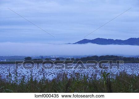 Hokkaido, Japan View Large Photo Image Stock Photography - Hokkaido, Japan. Fotosearch