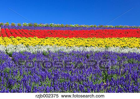 Stock Photography - Hokkaido, Japan. Fotosearch