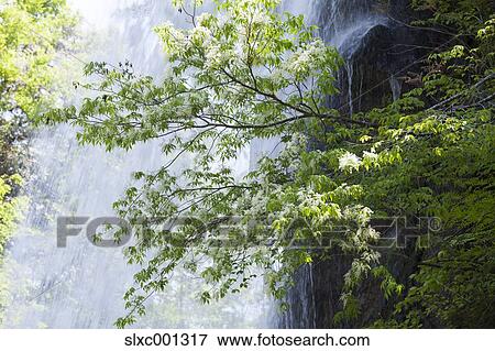 Stock Photo - Ishikawa Prefecture, Japan. Fotosearch