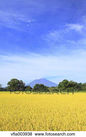Iwate Prefecture, Japan View Large Photo Image Stock Photo - Iwate Prefecture, Japan. Fotosearch