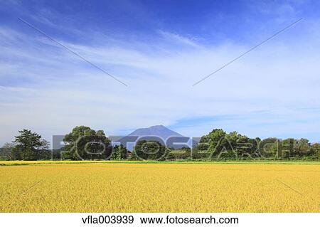 Iwate Prefecture, Japan View Large Photo Image Stock Photo - Iwate Prefecture, Japan. Fotosearch