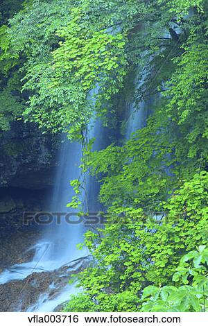 Iwate Prefecture, Japan View Large Photo Image Stock Photograph - Iwate Prefecture, Japan. Fotosearch