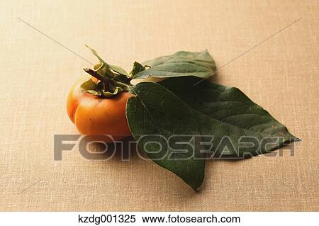 Stock Photography - Japanese Persimmon. Fotosearch