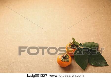 Japanese Persimmons View Large Photo Image Stock Photo - Japanese Persimmons. Fotosearch